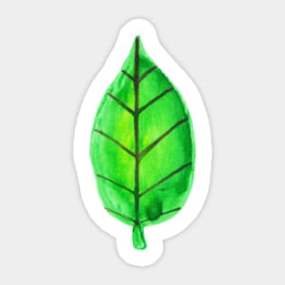 Green Leaf Watercolor Sticker